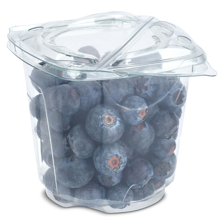 Dia Arándano vaso 170 g