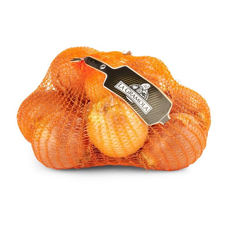 Dia Cebolla malla 1.5 Kg