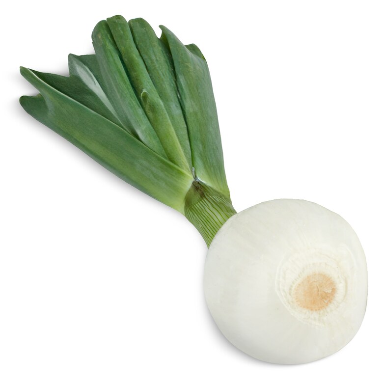 Dia Cebolla tierna 1 unidad