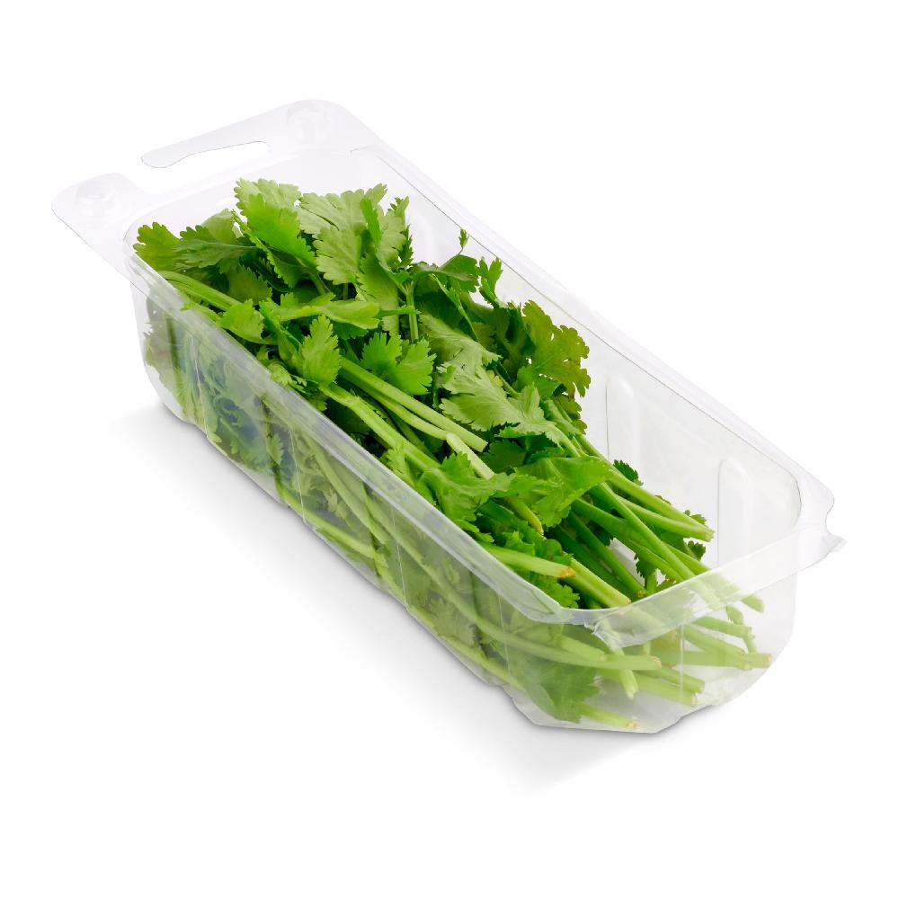 Dia Cilantro bandeja 20 g