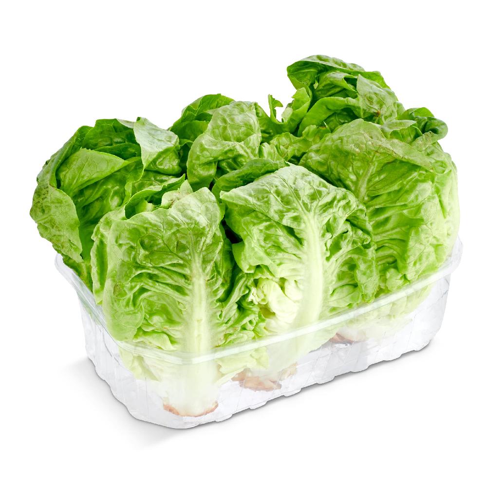 Dia Corazones de cogollos bandeja 6 unidades