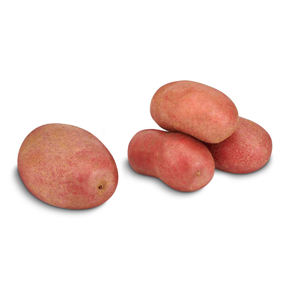 Dia Patata roja malla 1.5 kg