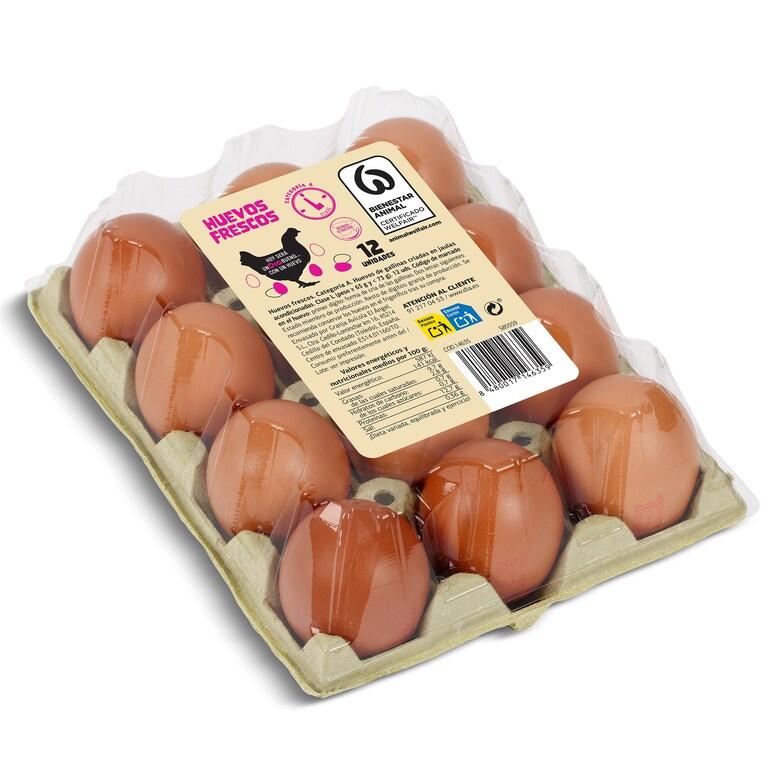 Dia Huevos frescos categoría A clase L Dia bandeja 12 unidades