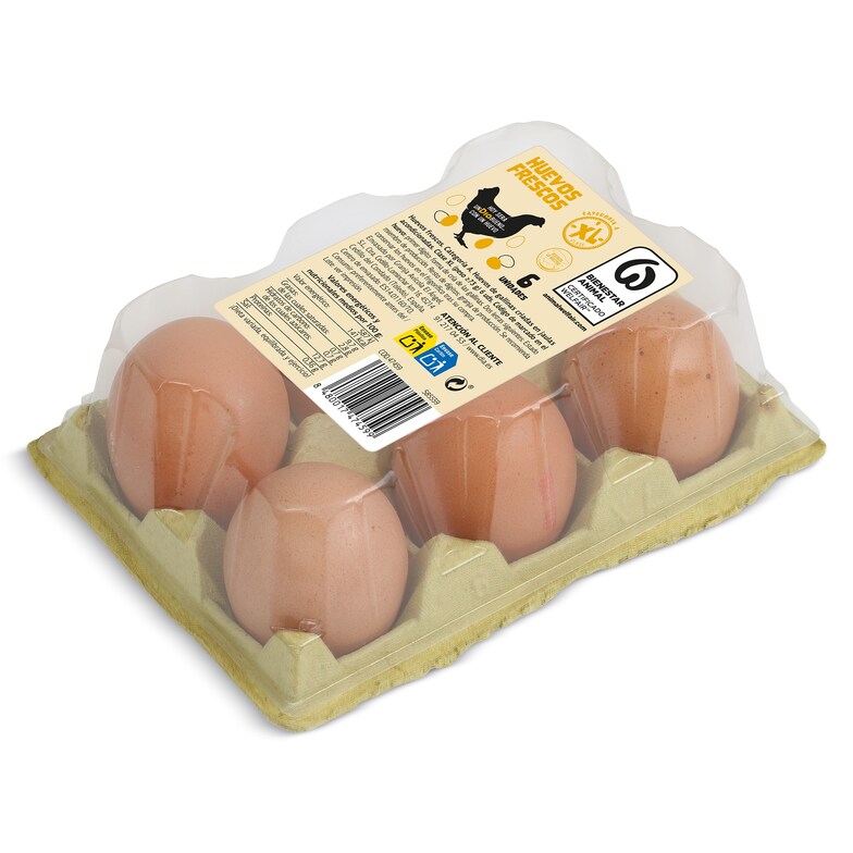 Dia Huevos frescos categoría A clase XL Dia bandeja 6 unidades