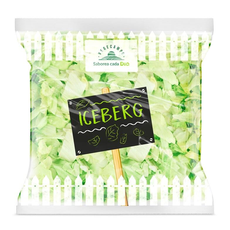 Dia Lechuga iceberg lavada Vegecampo de Dia bolsa 250 g