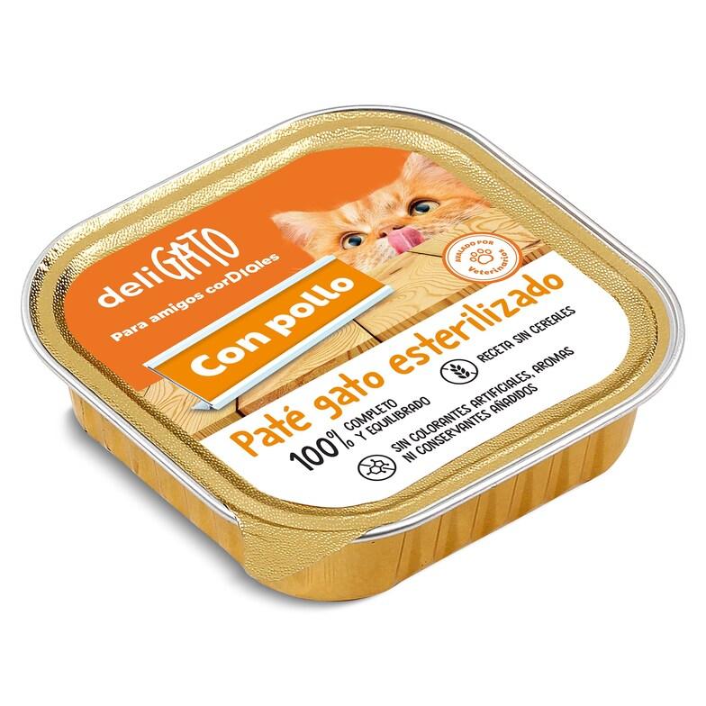 Dia Paté para gato esterilizado con pollo Deligato Dia tarrina 100 g