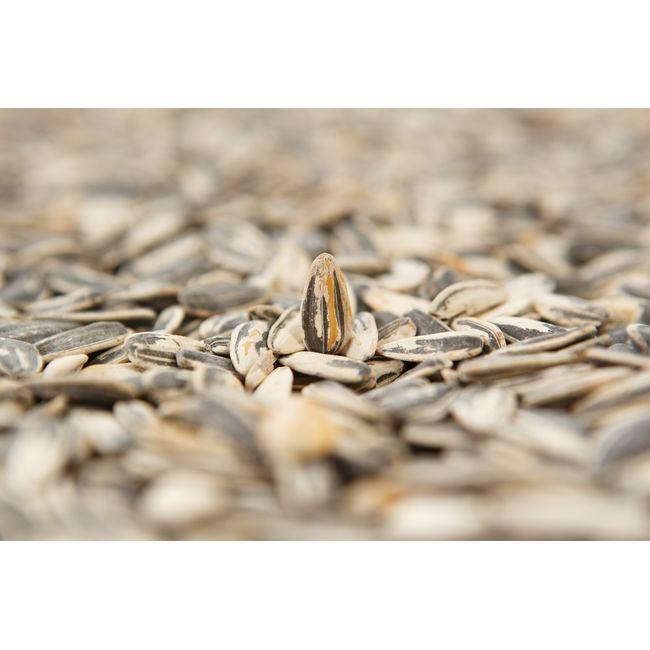 Eroski Pipas Aguasal PIPONAZO Bolsa 95 G