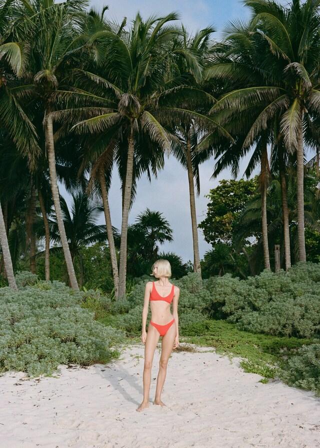 Mango Top Bikini Textura