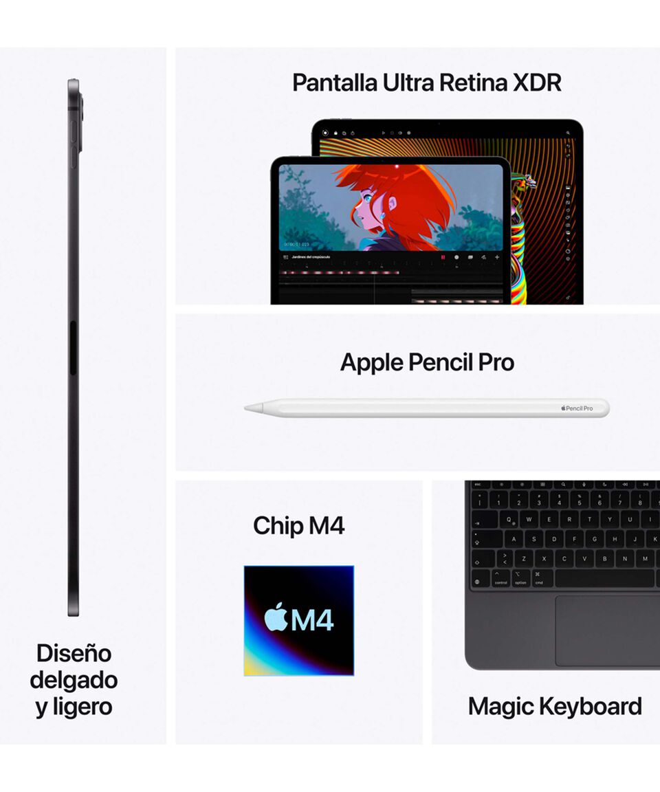 Apple IPad Pro 11" Chip M4 RAM 8 GB 256 GB Plata