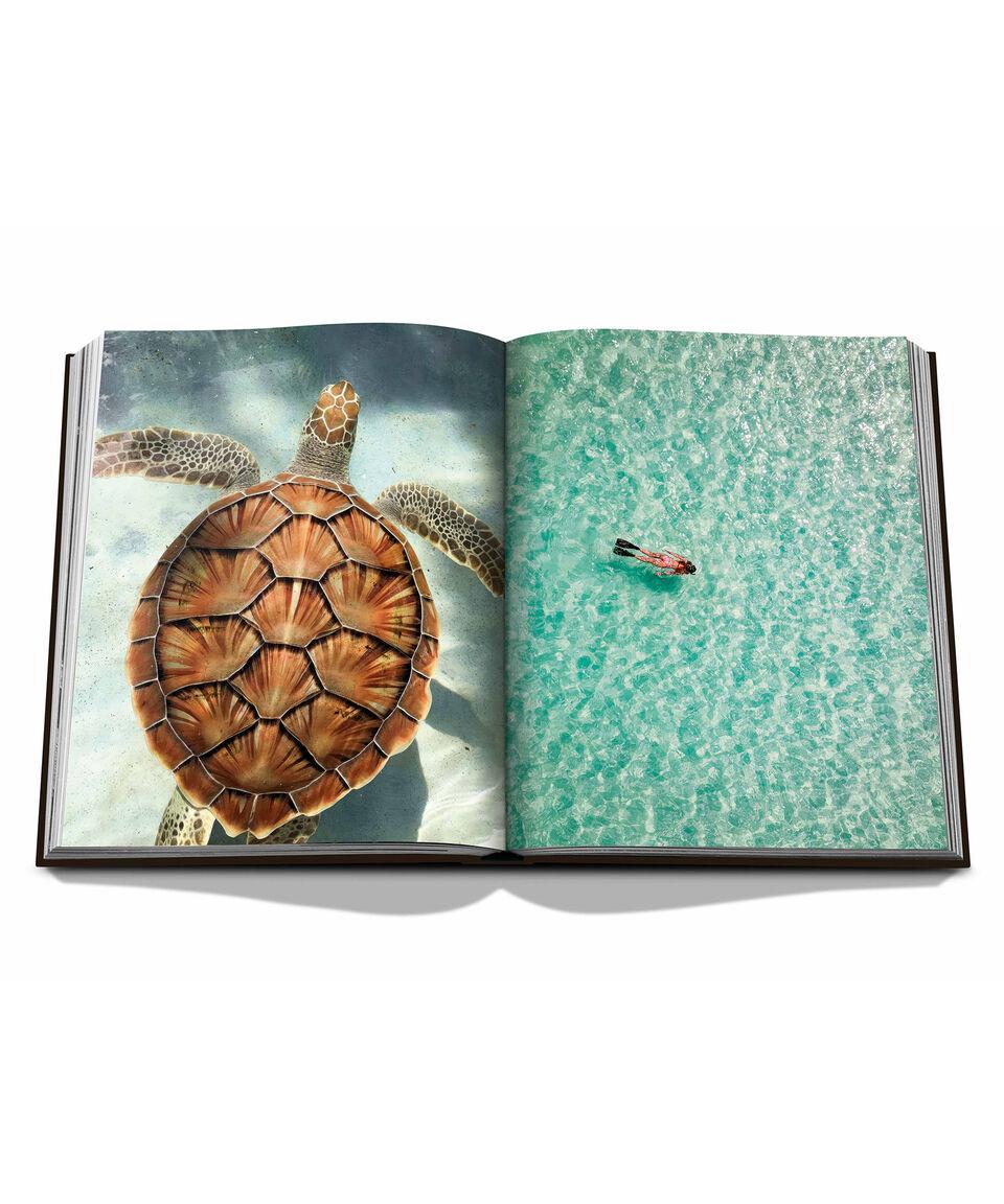 Assouline Jamaica Vibes