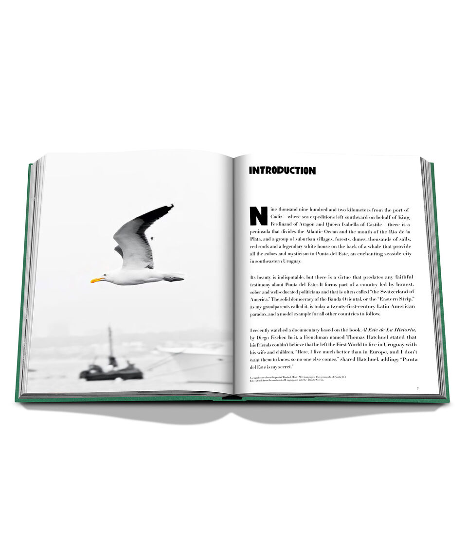 Assouline Punta Del Este