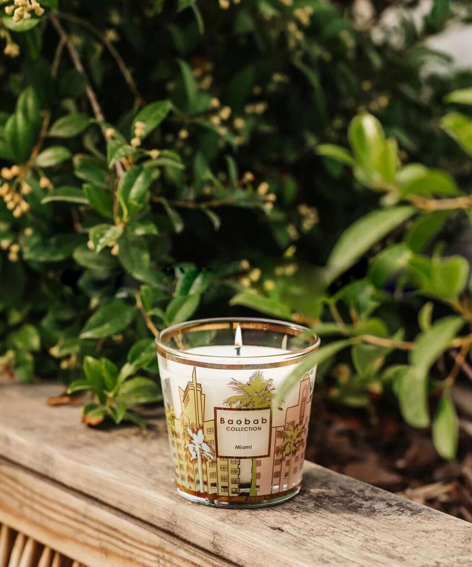 Baobab Vela Aromática Miami