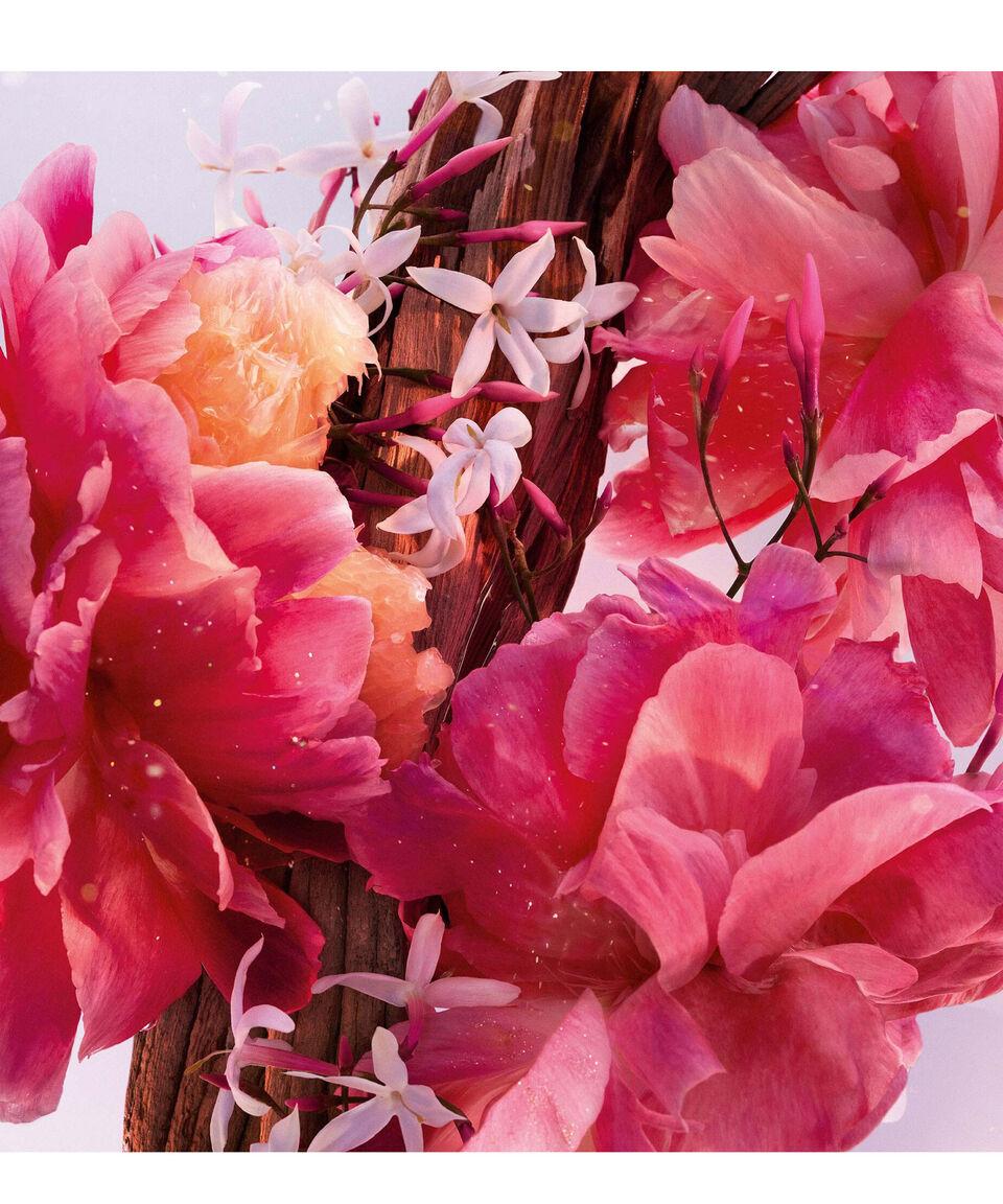 Dior MISS DIOR PARFUM 80 ML