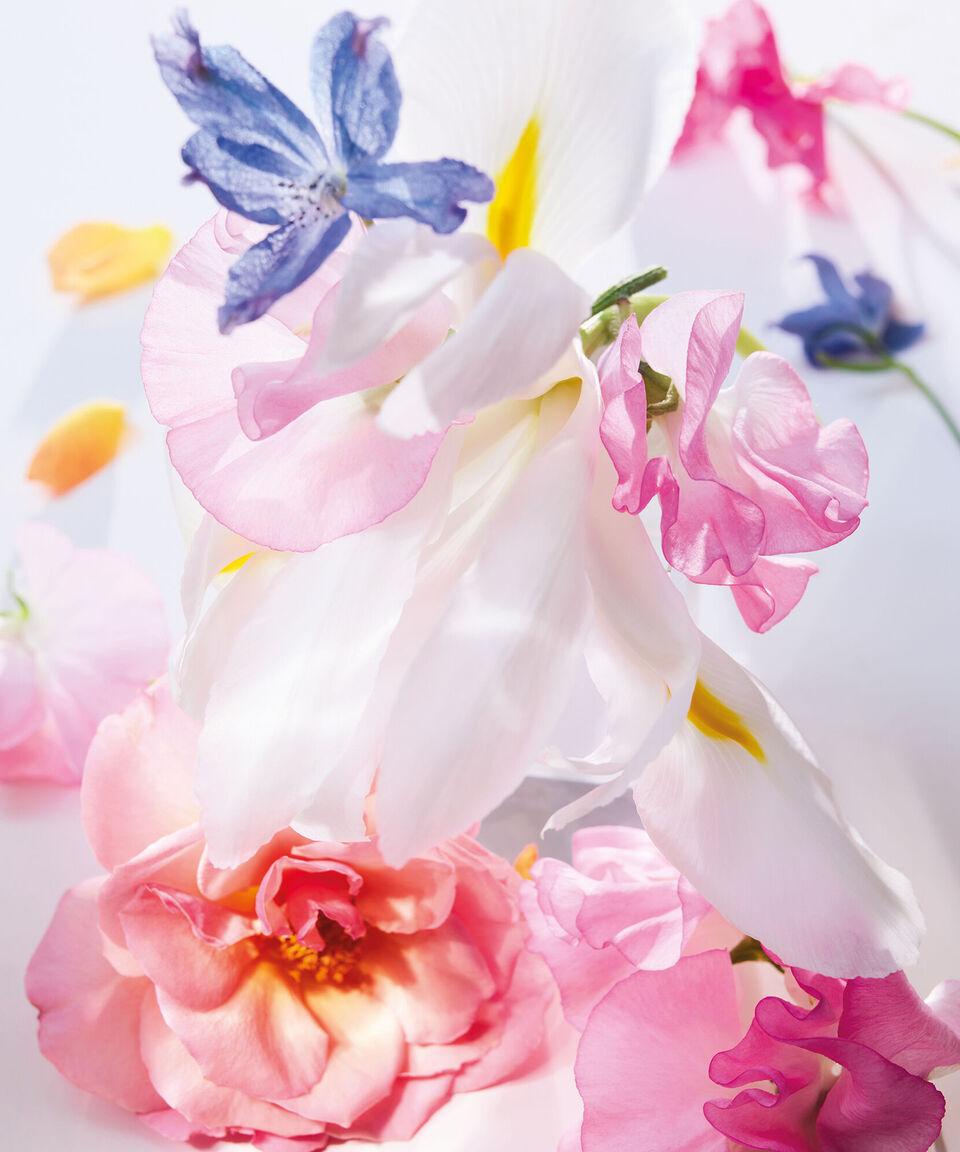 Dior Perfume Miss Dior Eau De Parfum 100 Ml Mujer