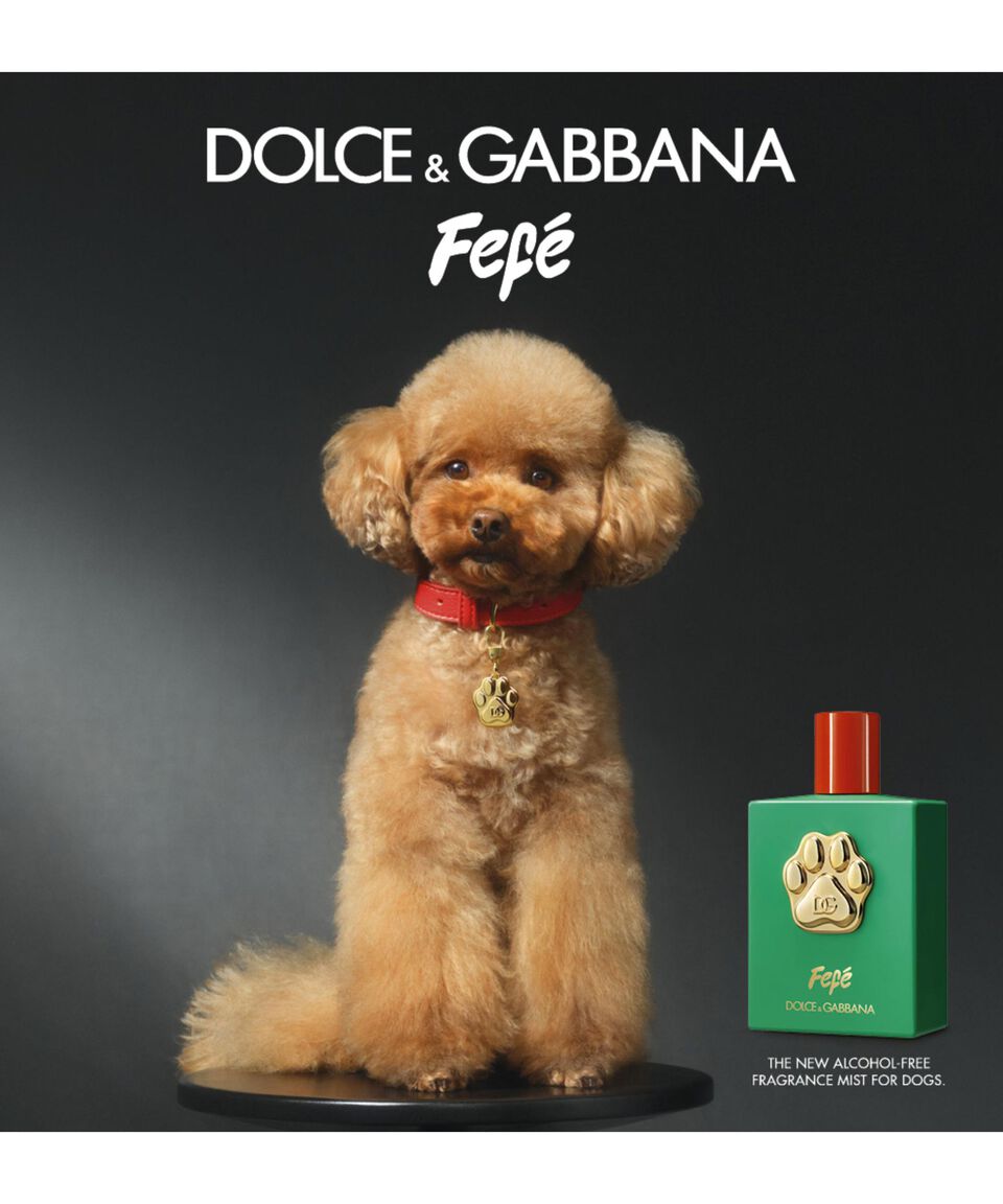 DOLCE & GABBANA Fragancia Para Perros Fefé 100 Ml