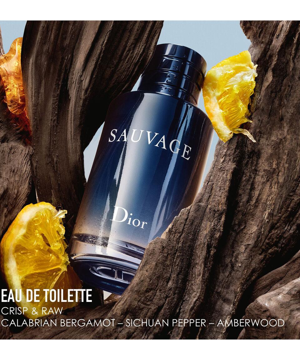 Dior FRAGANCIA SAUVAGE PARA HOMBRE DE DIOR EAU DE TOILETTE 100 ML