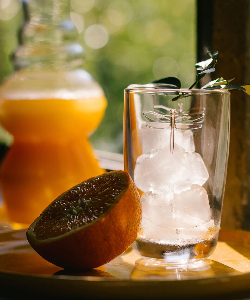 La Rochère Vaso Individual Libélula