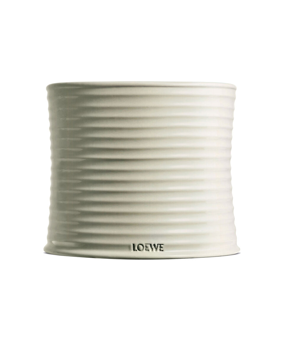 Loewe Vela Aromatizada Mushroom