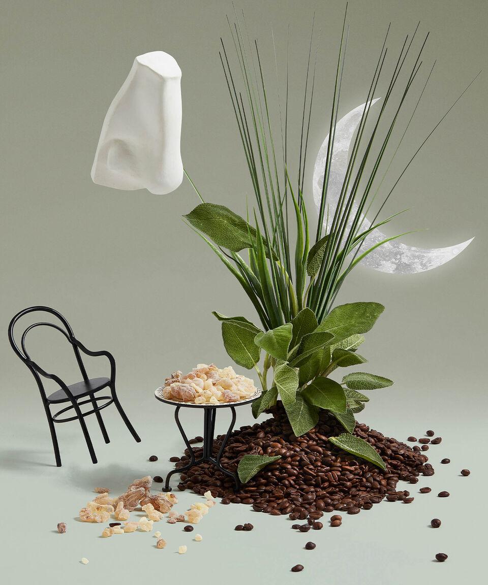 Penhaligon's Ducha Endymion Body And Hand 500 Ml