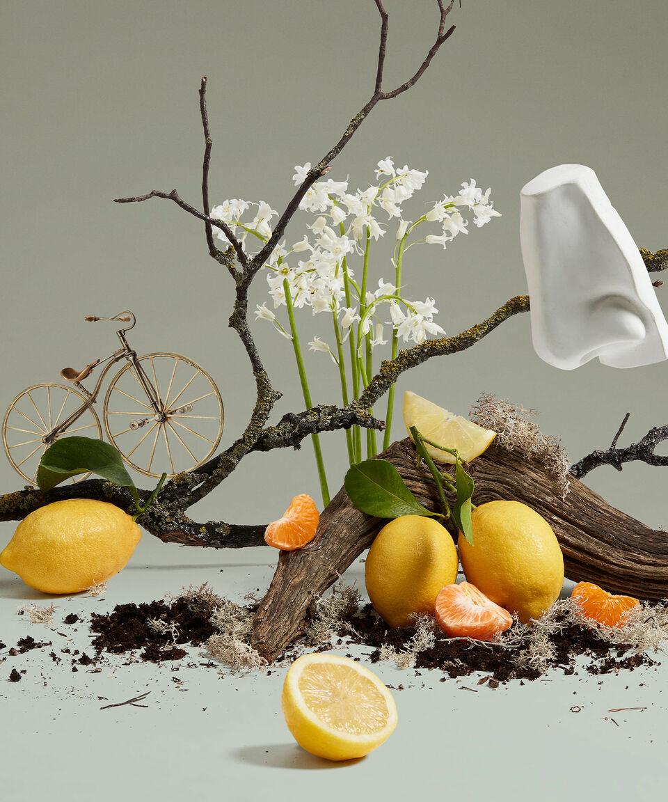 Penhaligon's Gel De Ducha Quercus 500 Ml Unisex