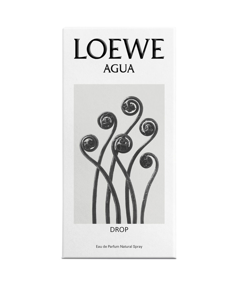 Loewe Perfume Agua Drop - Accord Eau De Parfum 100 Ml Para Mujer