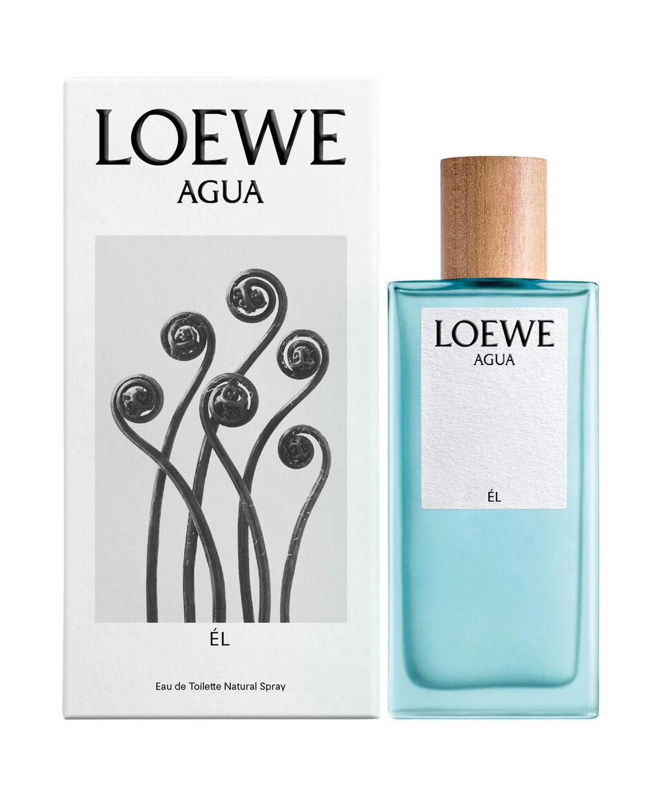 Loewe Perfume Agua Él Eau De Toilette 100 Ml Para Hombre