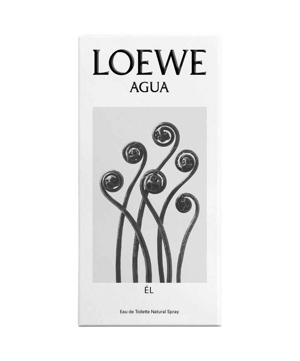Loewe Perfume Agua Él Eau De Toilette 100 Ml Para Hombre