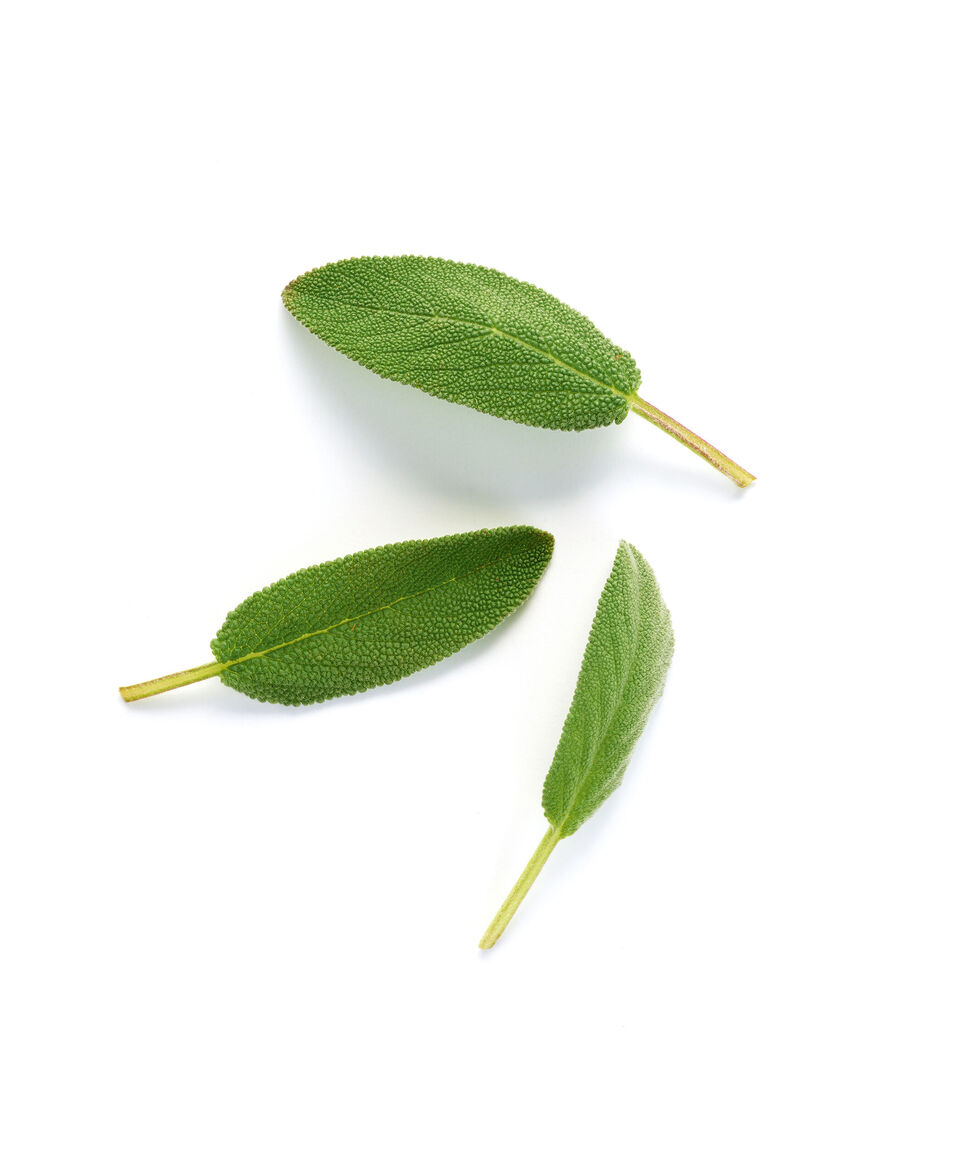 Armani Perfume Armani Stronger With You Eau De Toilette 150 Ml Hombre