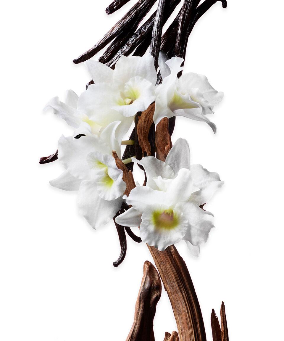 Viktor & Rolf Perfume Flowerbomb Eau De Parfum 100 Ml Mujer