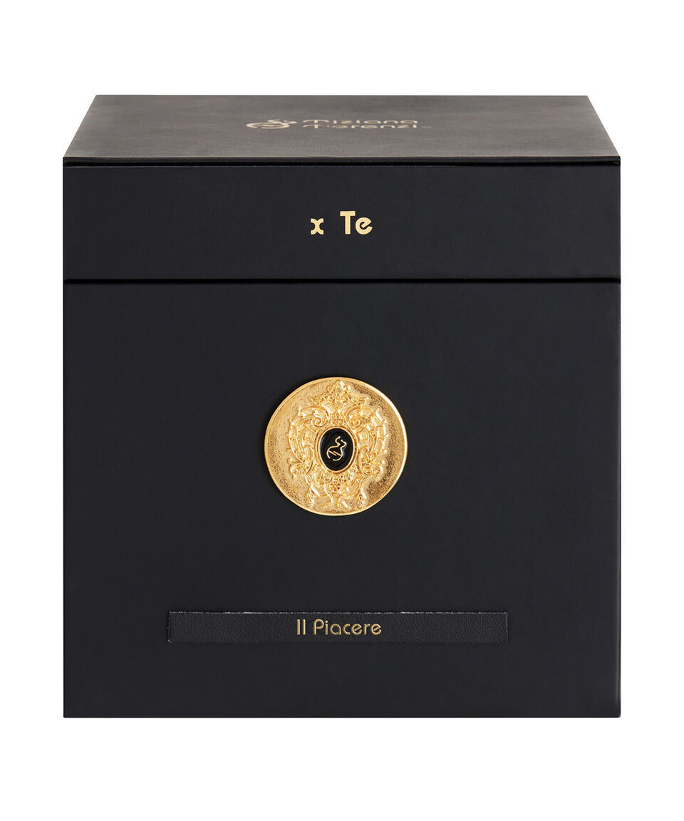 Tiziana Terenzi Perfume Il Piacere Extrait De Parfum 100 Ml Unisex