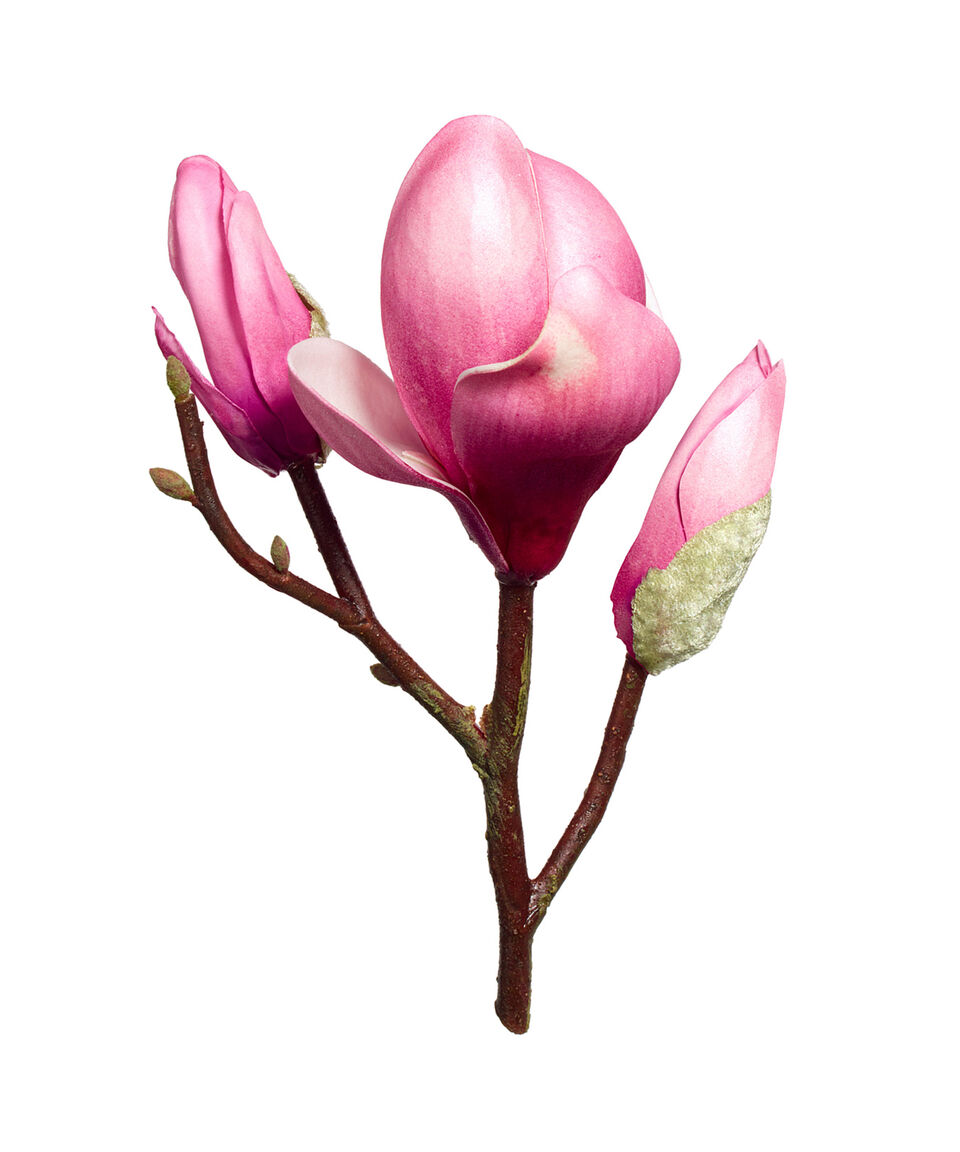 Ralph Lauren Perfume Ralph Lauren Ralph Eau De Toilette 100 Ml Mujer