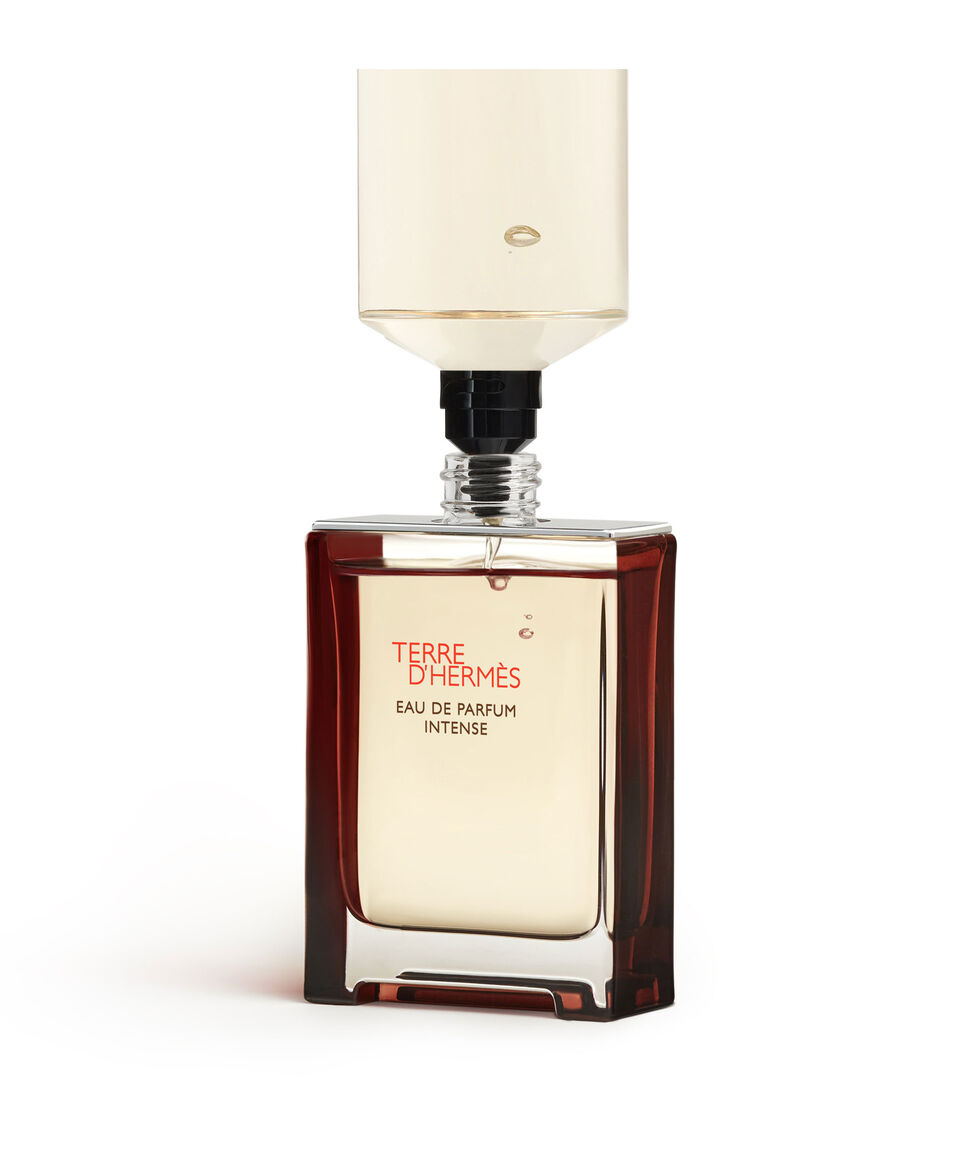 Hermès Perfume Terre D'Hermès Eau De Parfum Intense 100 Ml Para Hombre