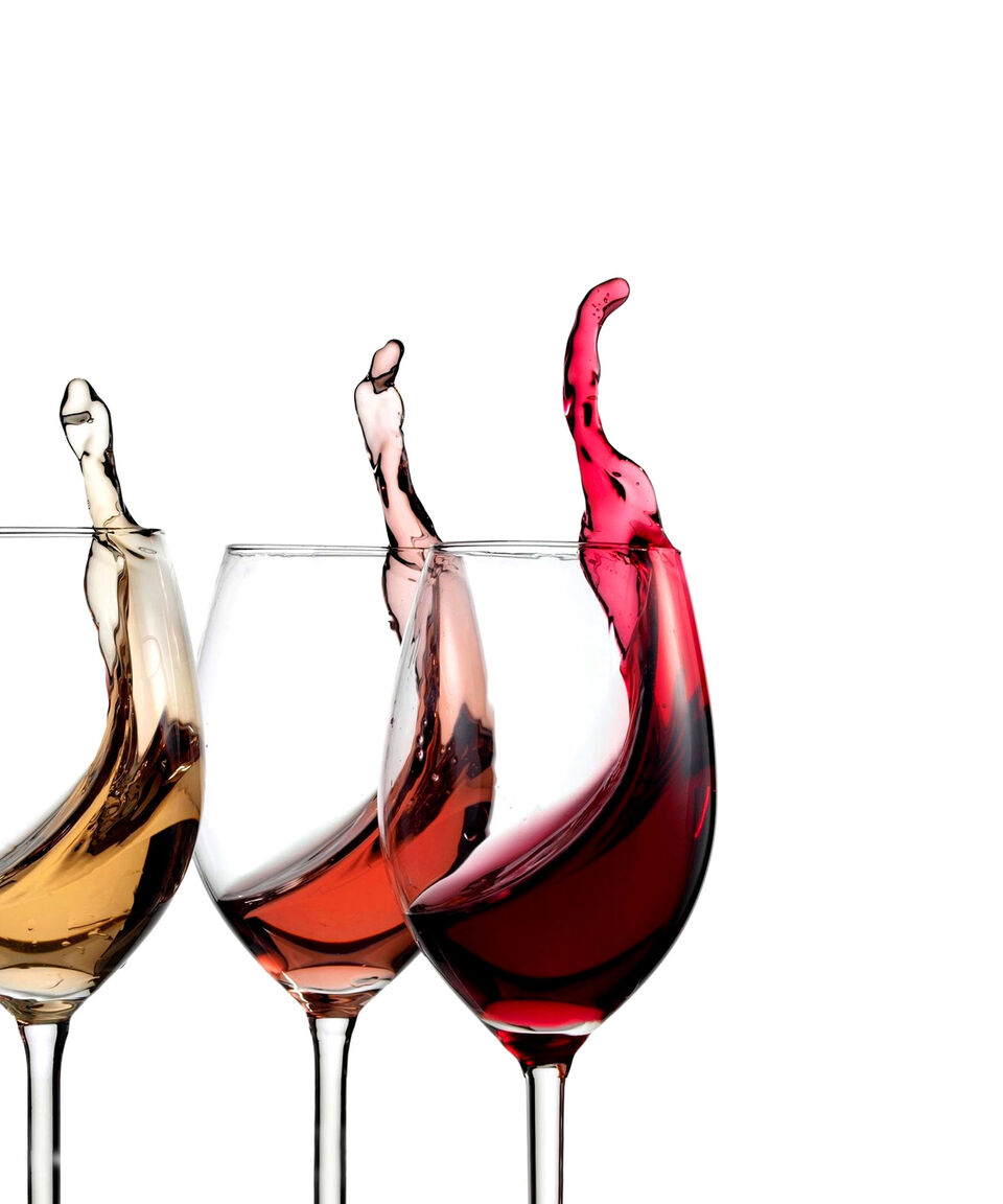 Scielo Tinto Vino Tinto Ensamble 750 Ml