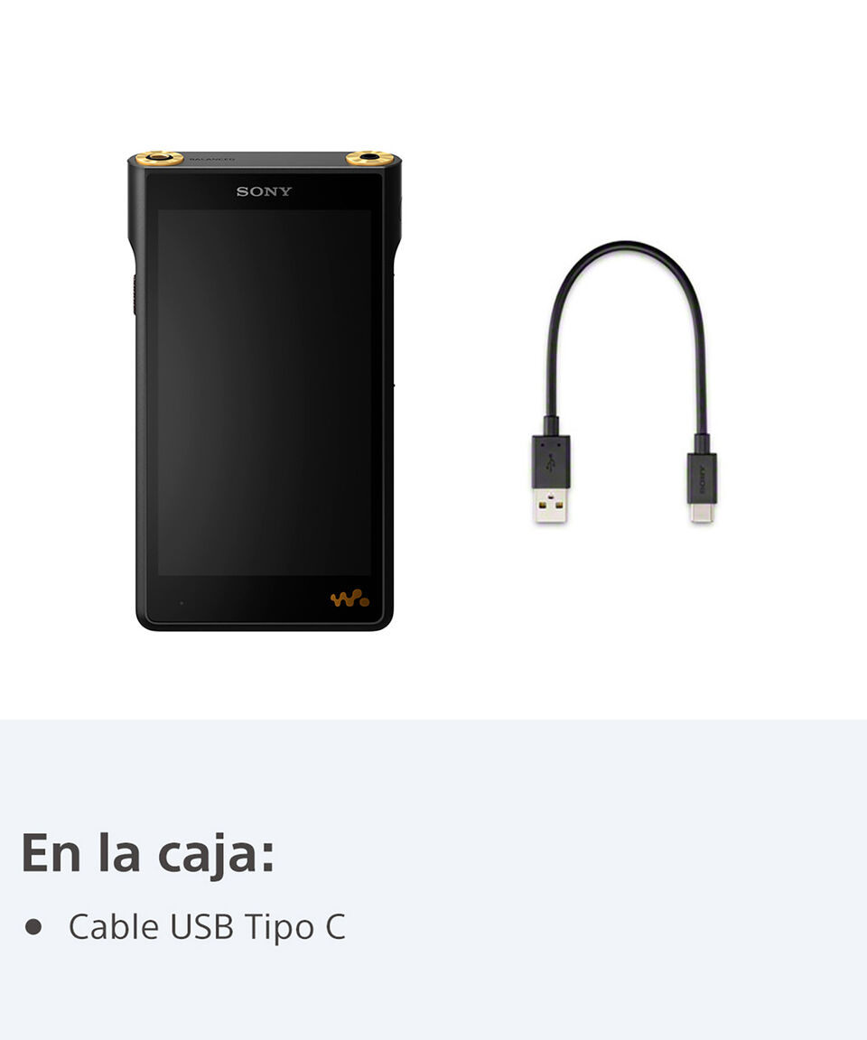 Sony Walkman WM1AM2 Negro