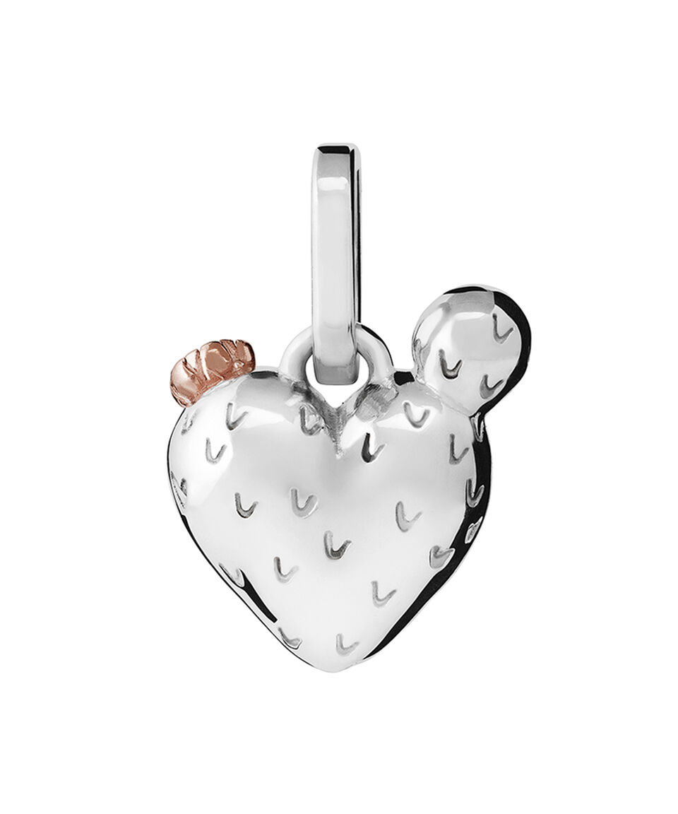 Tane Dije En Plata Mujer