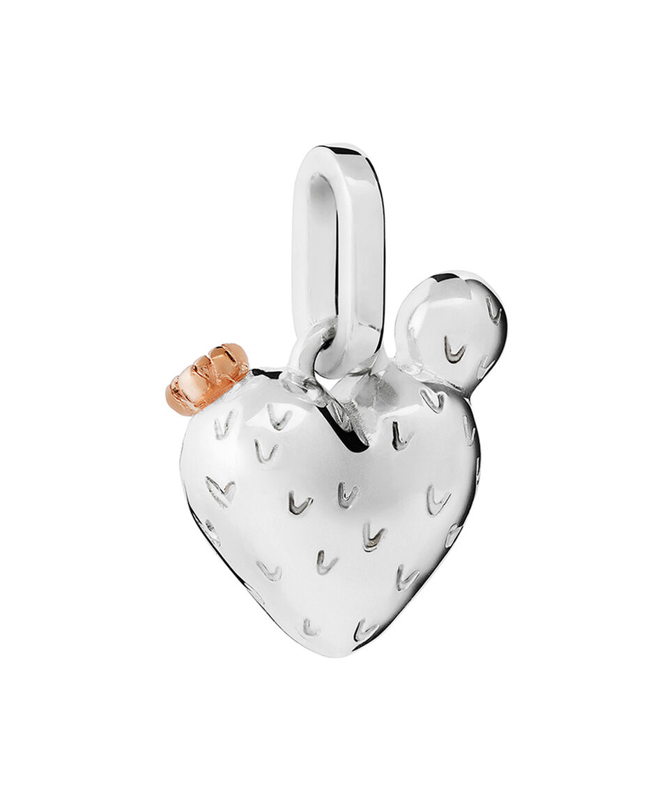 Tane Dije En Plata Mujer