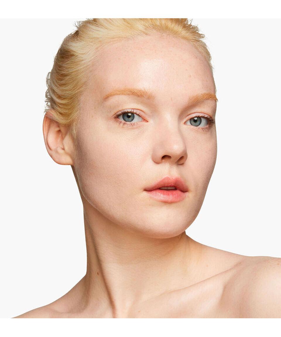 Shiseido Tinte Para La Piel Synchro Skin Self-Refreshing Tint SPF 20 30 Ml