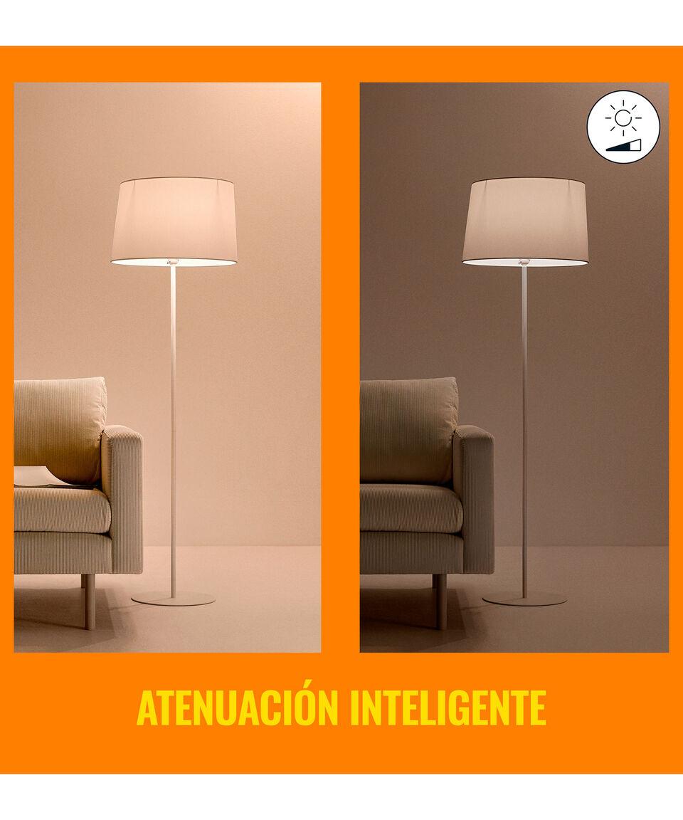 Wiz Foco Wi-Fi Led A19 8.8 W