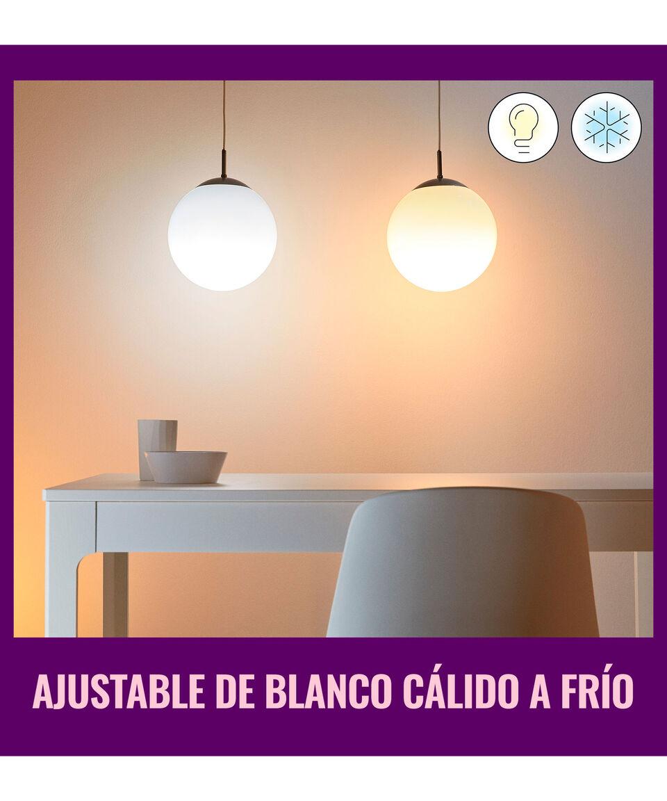 Wiz Foco Wi-Fi Led A19 8.8 W