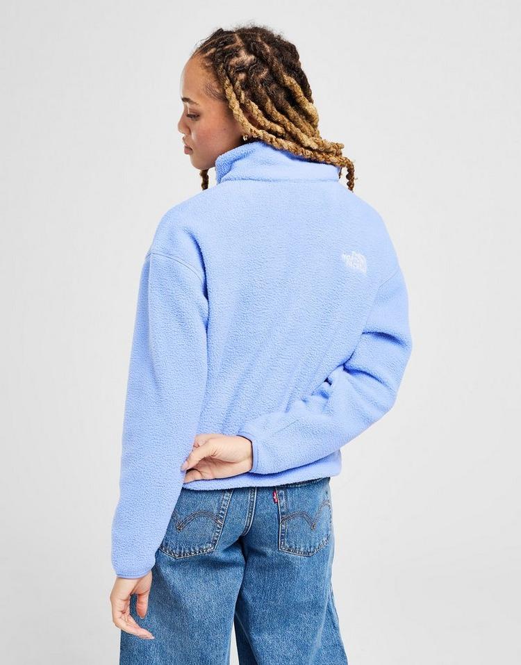 JD Sports The North Face Polar Fleeski 1/4 Zip