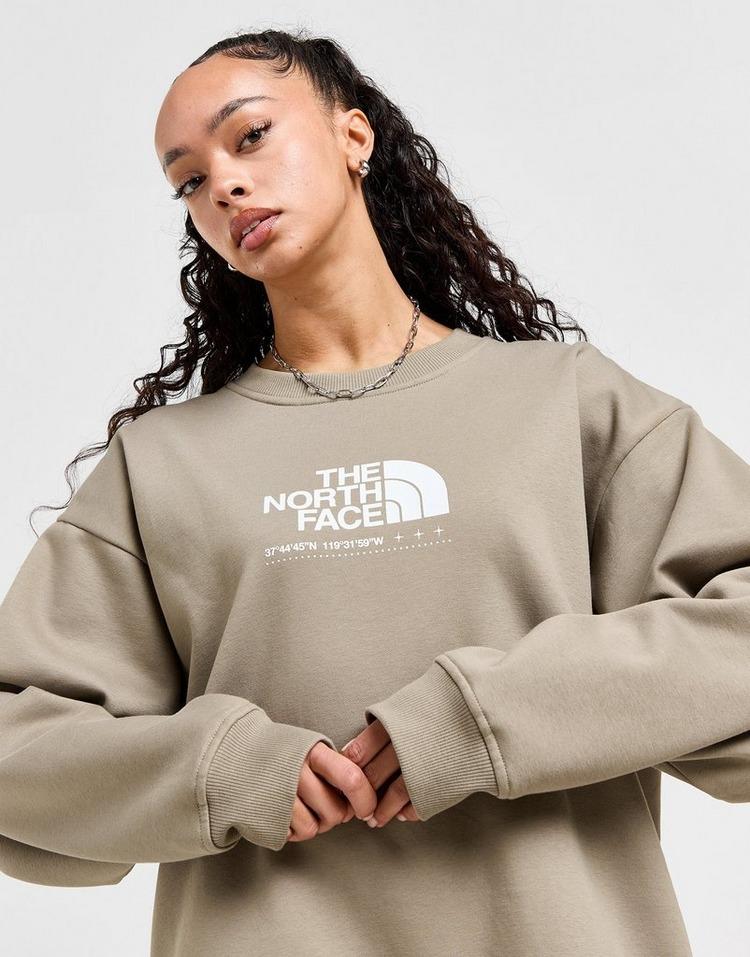 JD Sports The North Face Sudadera Tech Shine Crew