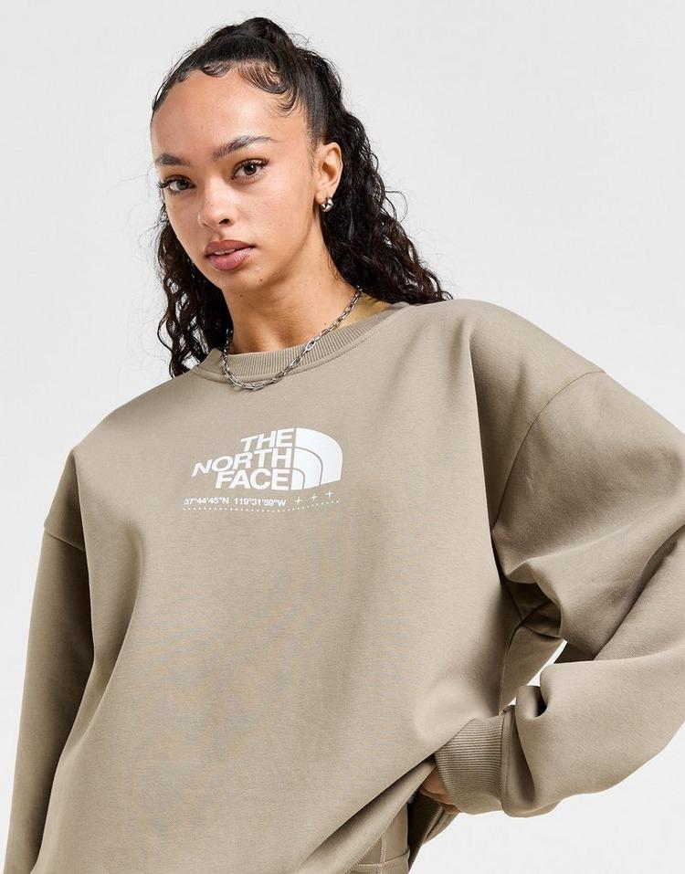 JD Sports The North Face Sudadera Tech Shine Crew