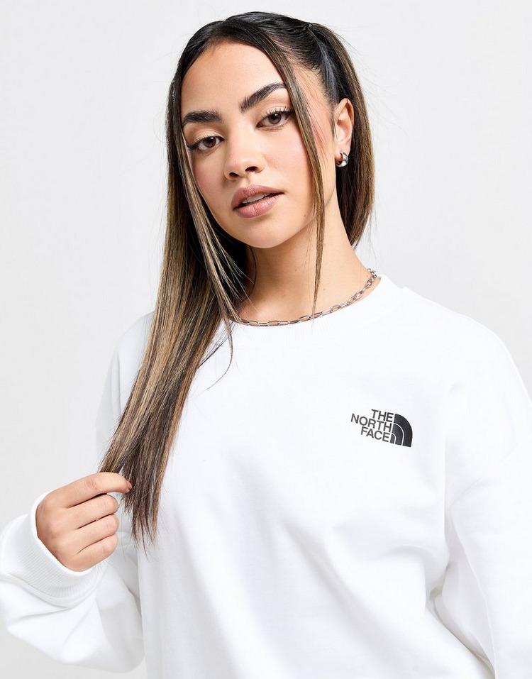 JD Sports The North Face Sudadera Mountain Box Logo Crew