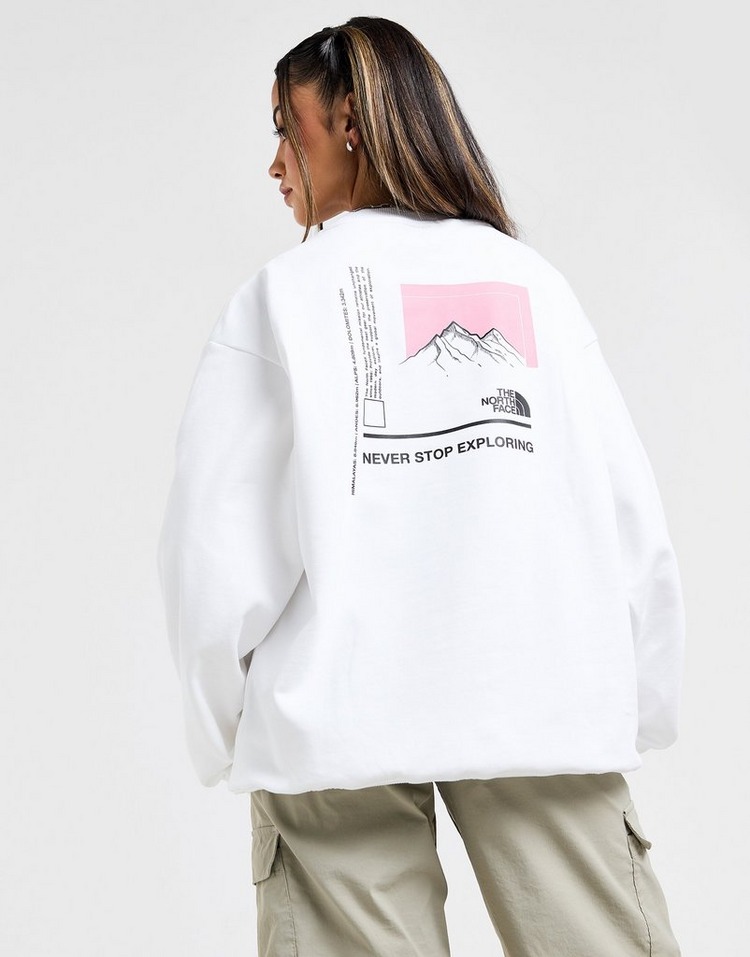 JD Sports The North Face Sudadera Mountain Box Logo Crew