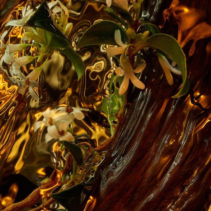 Guerlain Absolus Allegoria - Cuir Intense - Eau De Parfum