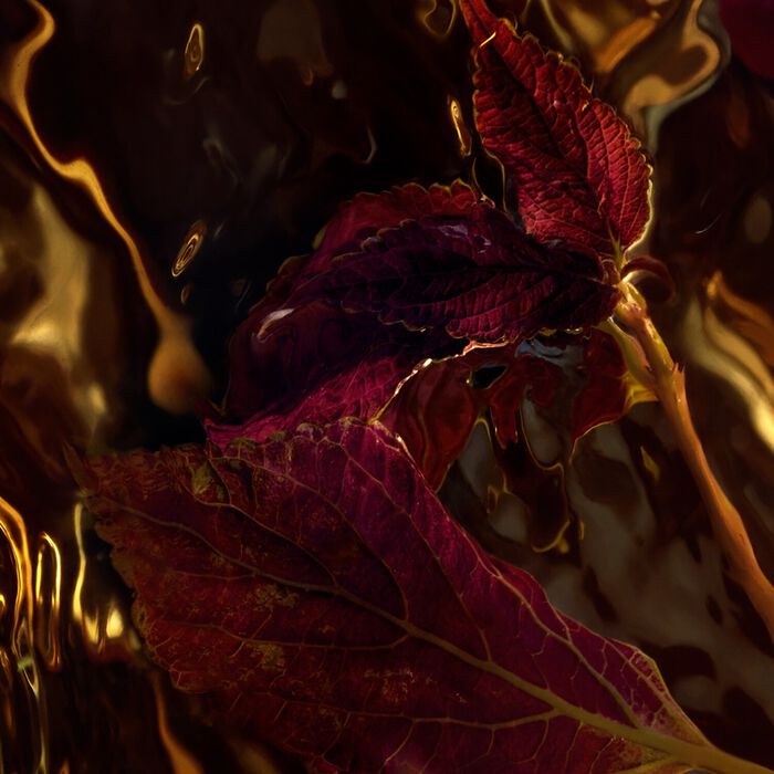 Guerlain Absolus Allegoria - Patchouli Ardent - Eau De Parfum