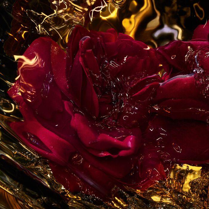 Guerlain Absolus Allegoria - Rose Amira - Eau De Parfum