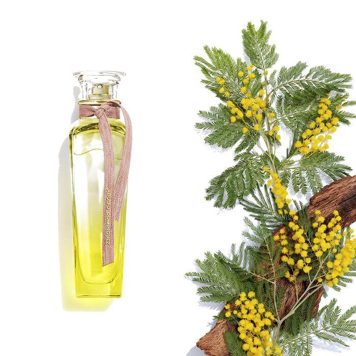 Adolfo Domínguez Agua Fresca Mimosa Coriandro - Eau De Toilette