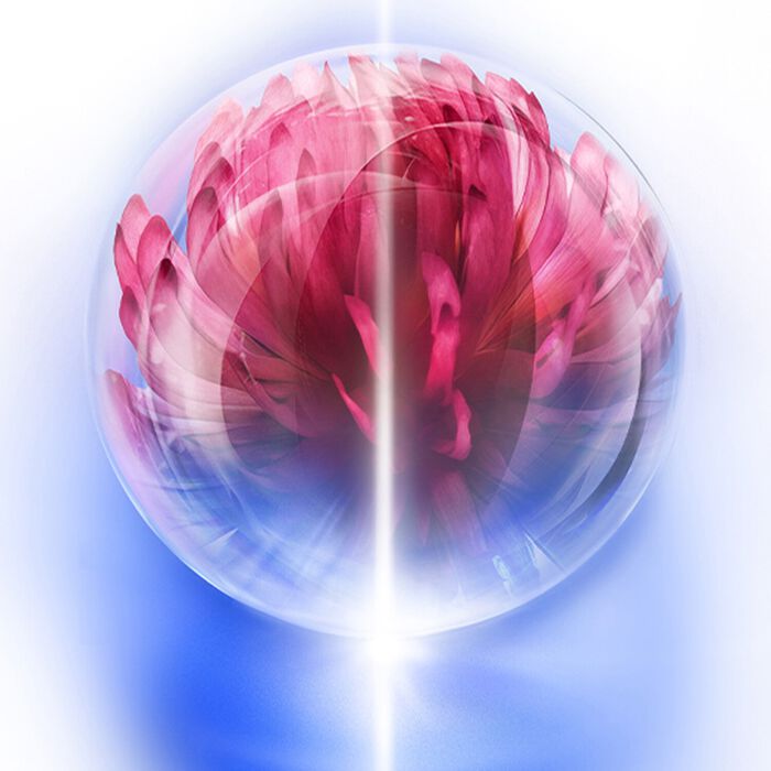 Shiseido Bio-Performance Skin HIForce Cream Refill - Crema Antiedad