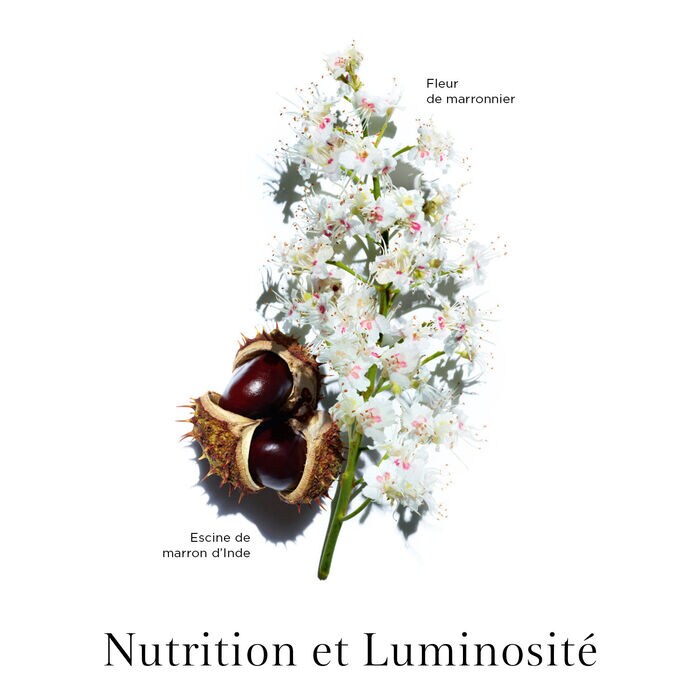 Clarins Nutri-Lumiére Anti-Age - Esencia Renovadora